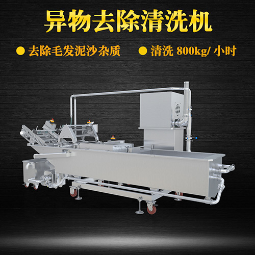 果蔬氣泡翻洗機，有效清洗，過濾泥沙